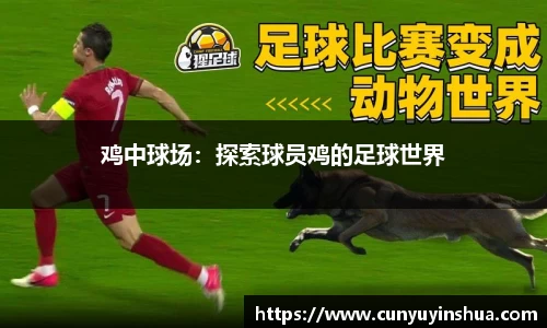 竞技宝JJB官方网站